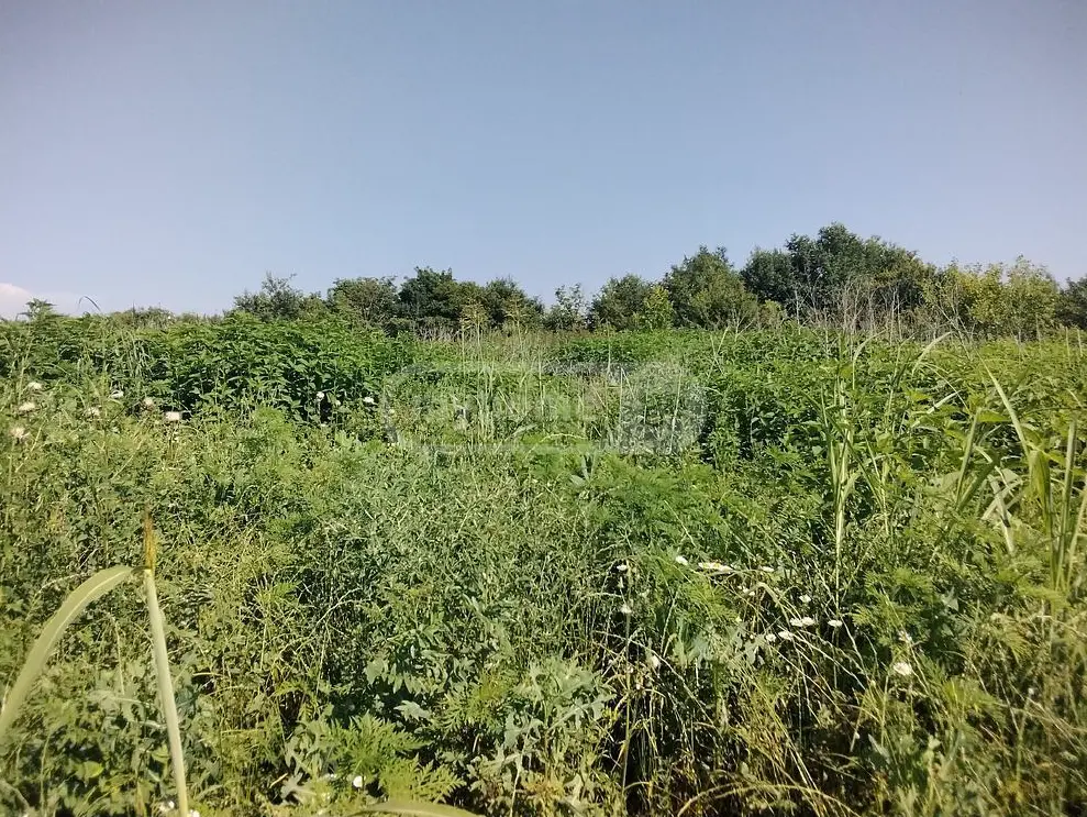 Agricultural Plot For Sale In Gurjaani view 1