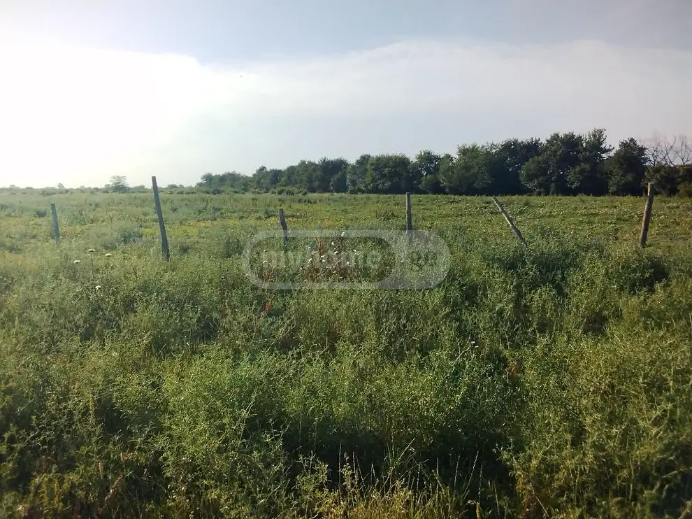 Продажа Agricultural Plot в In Gurjaani (Village), In Gurjaani view 2