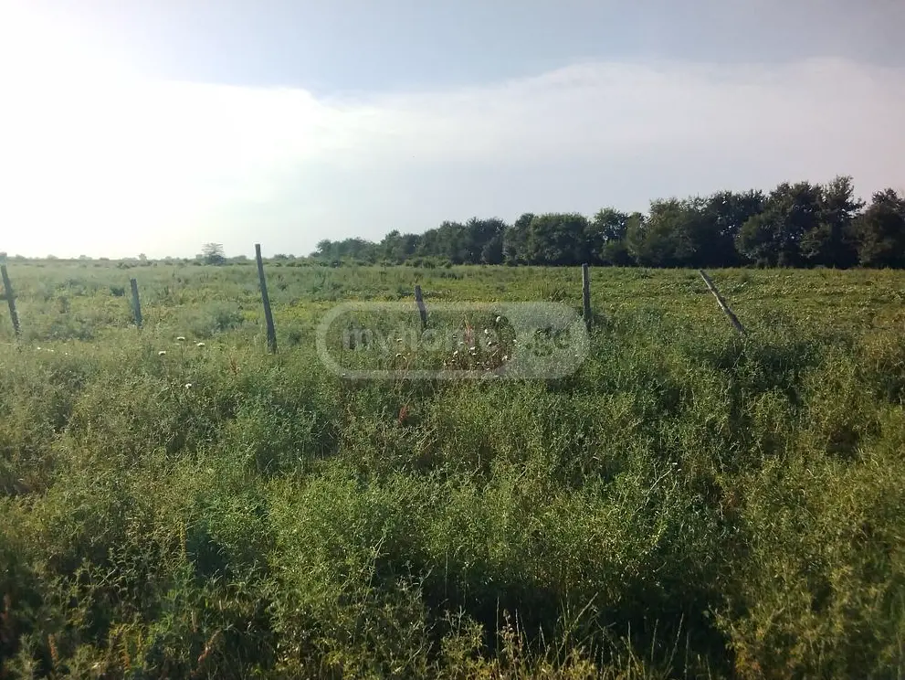 Продажа Agricultural Plot в In Gurjaani (Village), In Gurjaani view 1