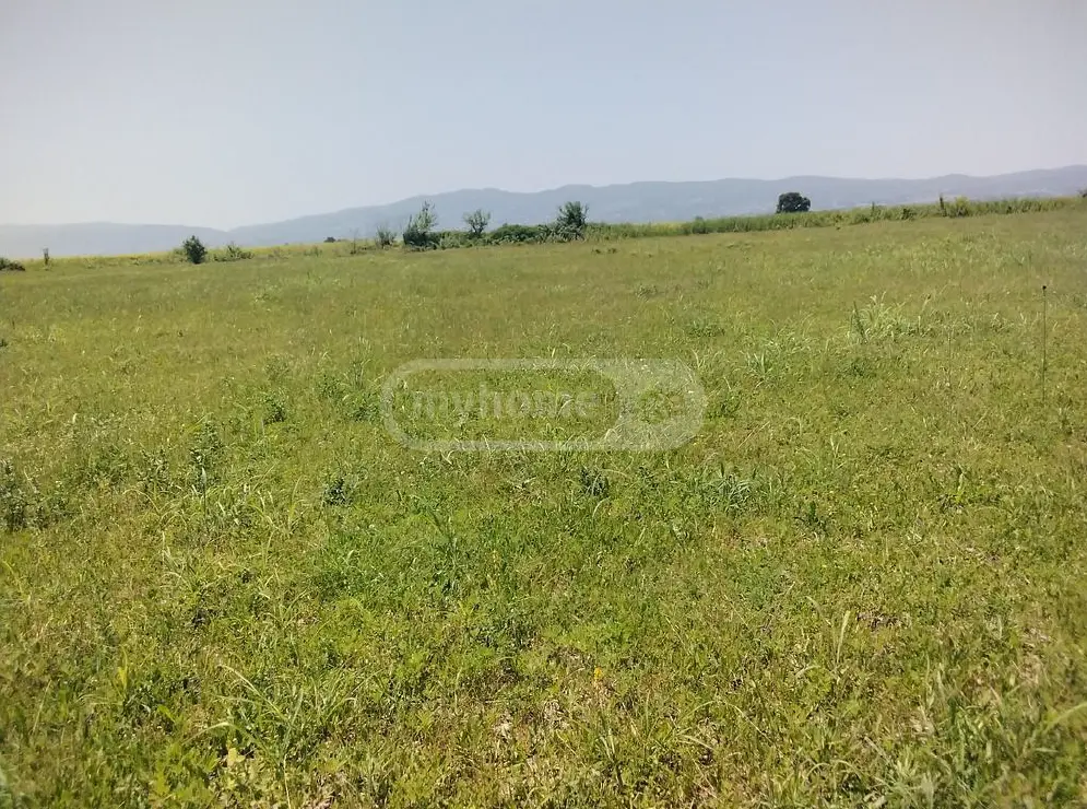 Agricultural Plot For Sale In Gurjaani (Village), In Gurjaani view 3