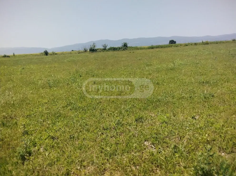 Agricultural Plot For Sale In Gurjaani (Village), In Gurjaani view 2