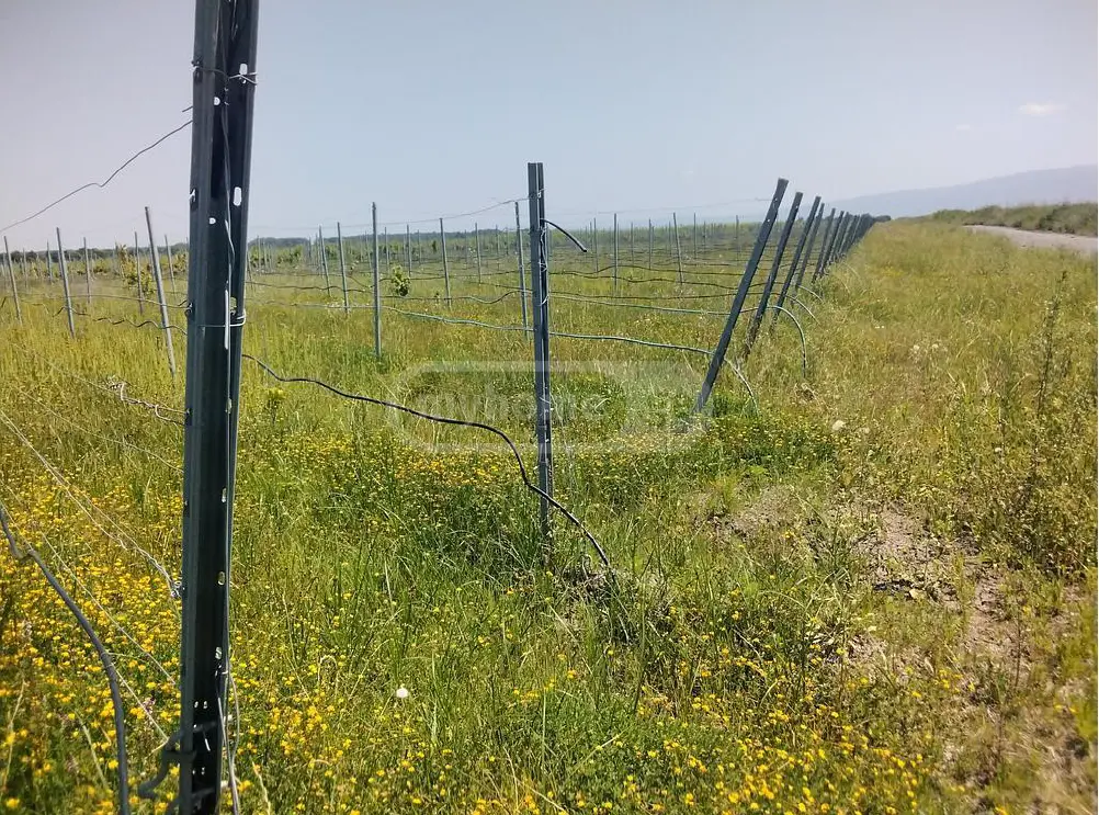 იყიდება Agricultural Plot In Gurjaani (Village), In Gurjaaniში view 1
