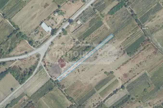 Agricultural Plot For Sale In Gurjaani (Village), In Gurjaani view 2