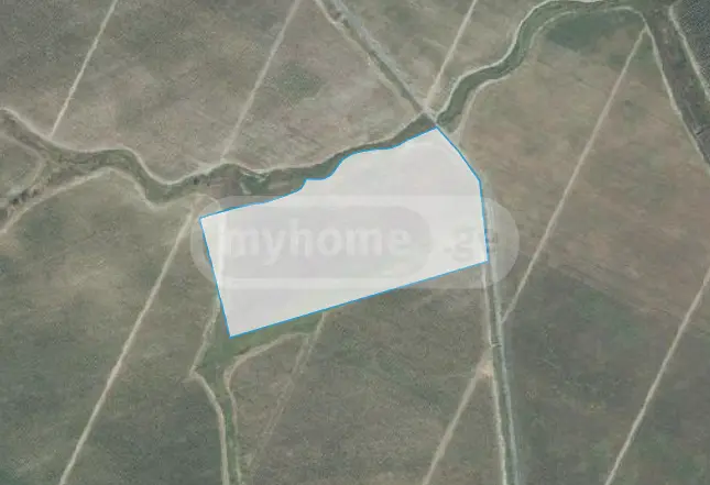 იყიდება Agricultural Plot In Gurjaani (Village), In Gurjaaniში view 4