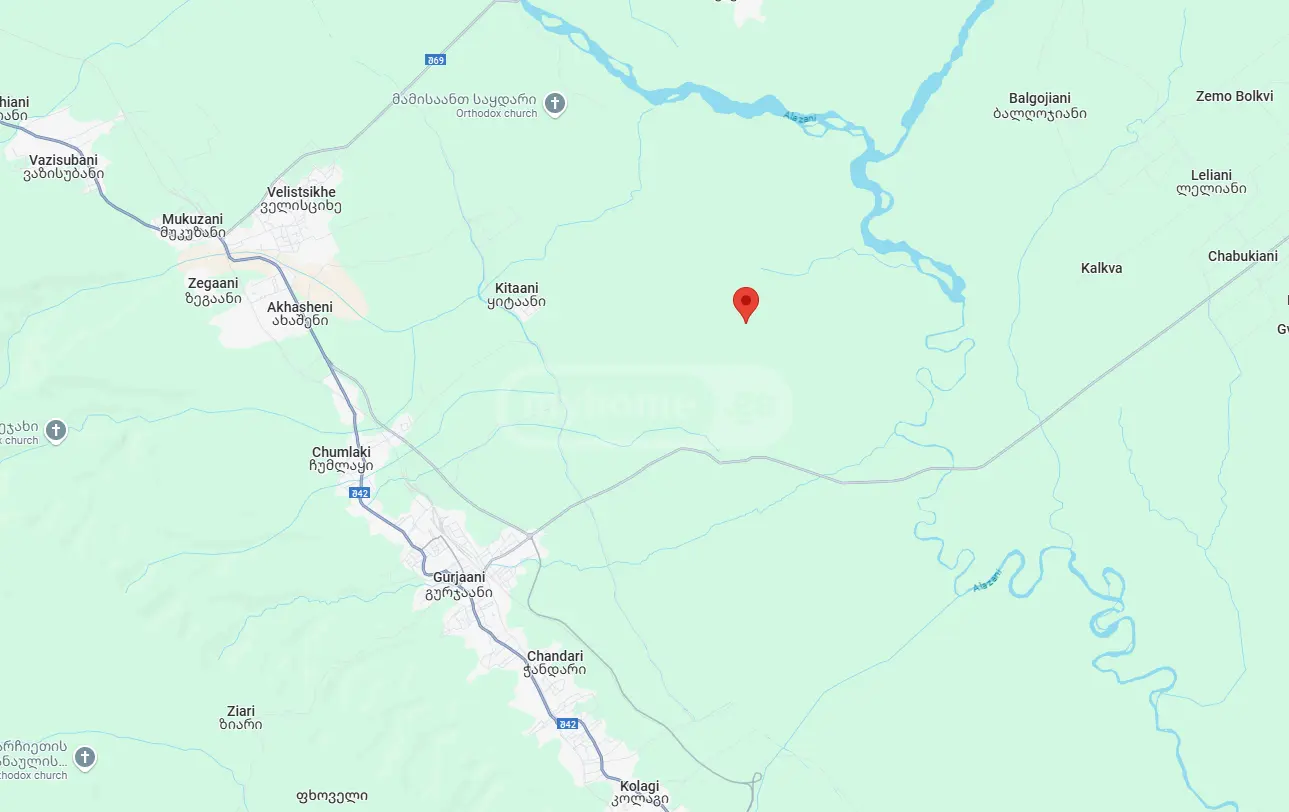 Agricultural Plot For Sale In Gurjaani (Village), In Gurjaani view 5