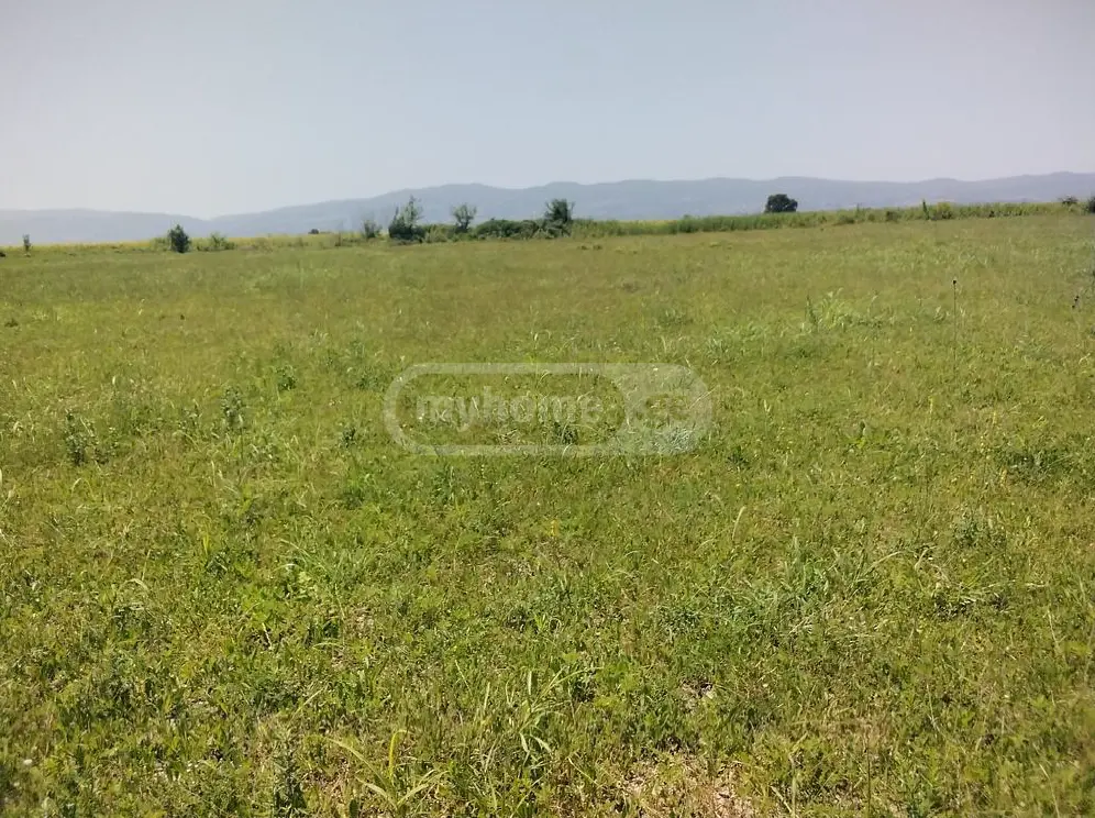 Agricultural Plot For Sale In Gurjaani (Village), In Gurjaani view 1