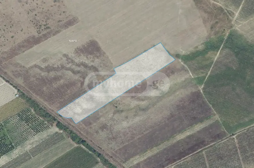 Agricultural Plot For Sale In Gurjaani (Village), In Gurjaani view 5