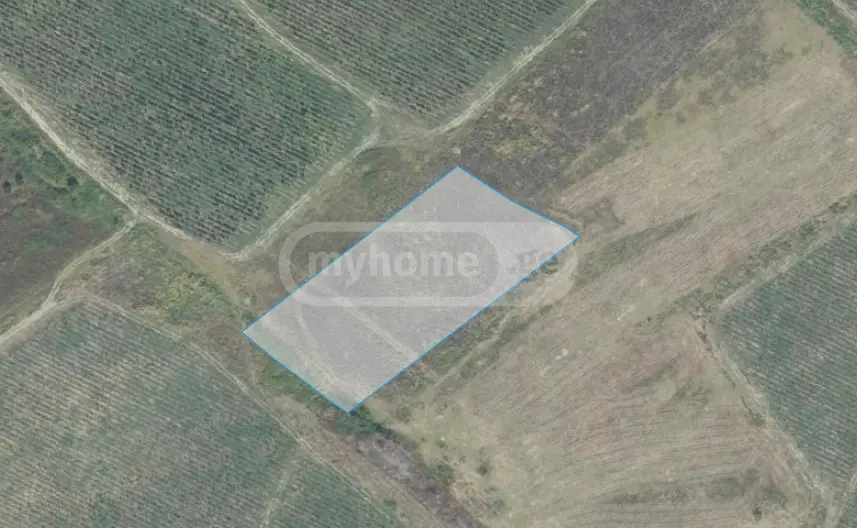 Agricultural Plot For Sale In Gurjaani (Village), In Gurjaani view 4