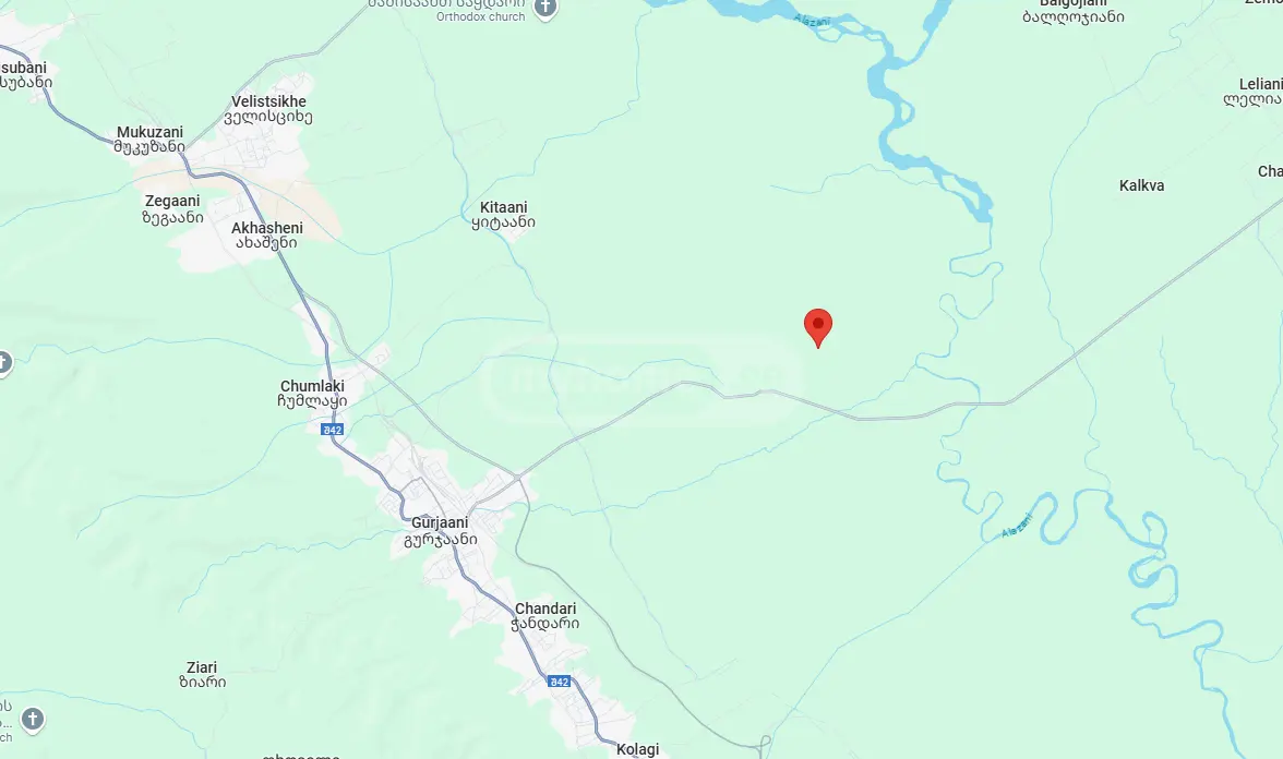 Agricultural Plot For Sale In Gurjaani (Village), In Gurjaani view 6