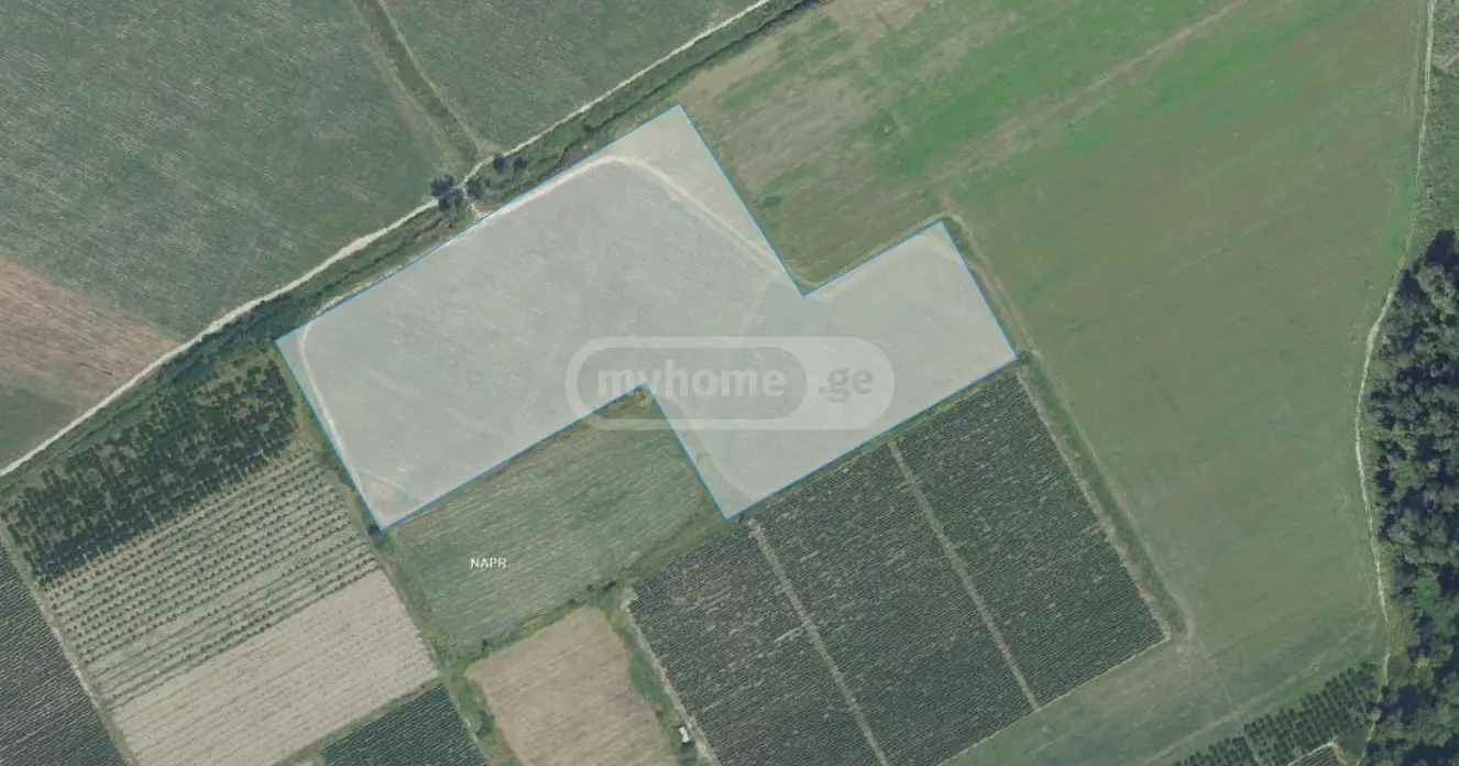 იყიდება Agricultural Plot In Gurjaani (Village), In Gurjaaniში view 4