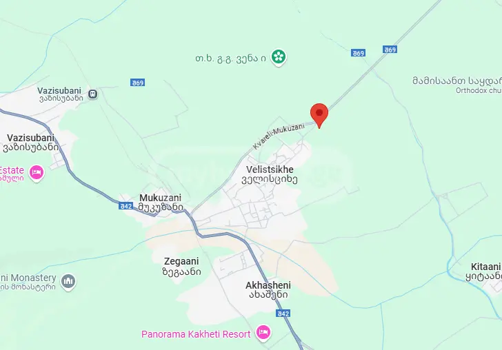 Agricultural Plot For Sale In Gurjaani (Village), In Gurjaani view 3