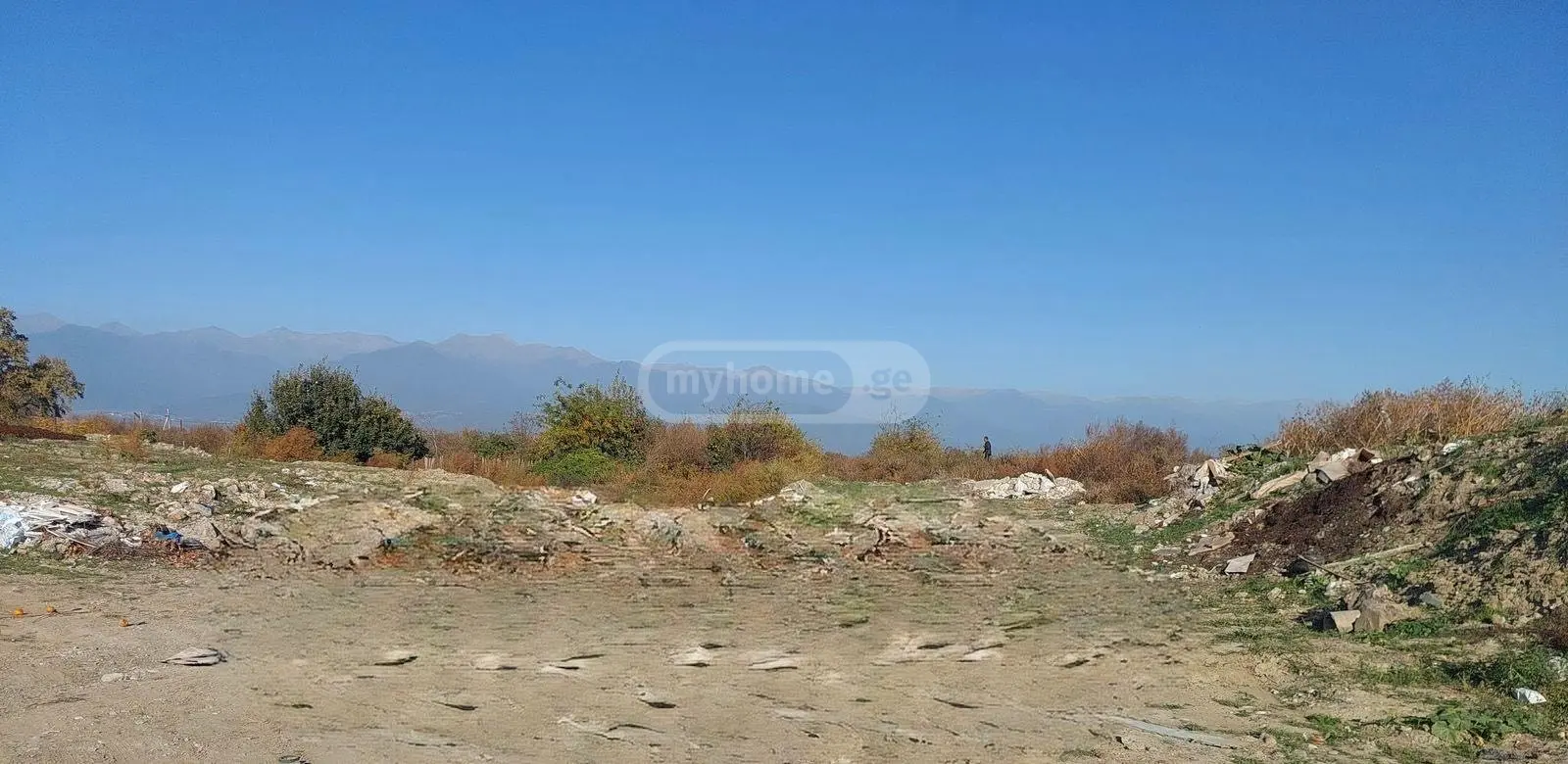 Agricultural Plot For Sale In Gurjaani (Village), In Gurjaani view 1