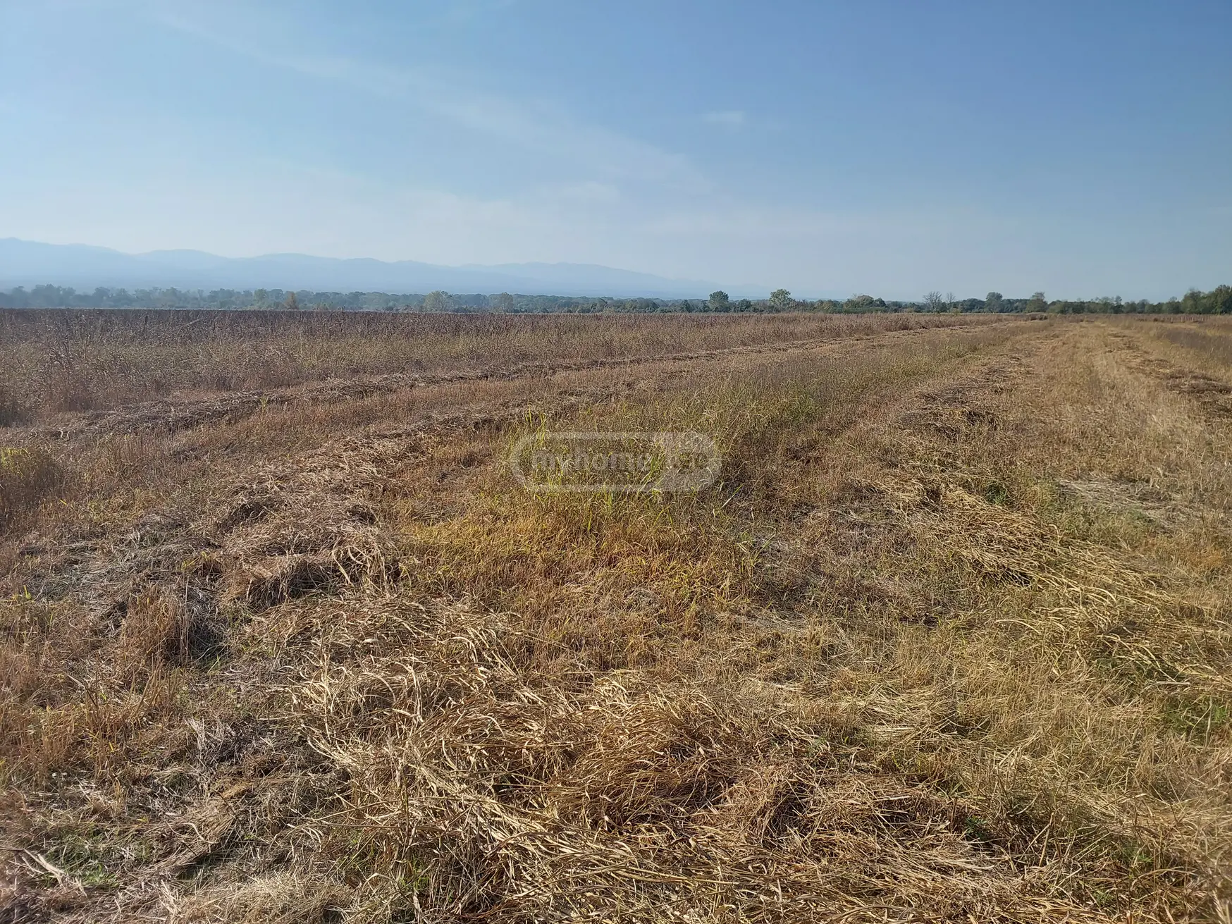 Продажа Agricultural Plot в In Kvareli view 2