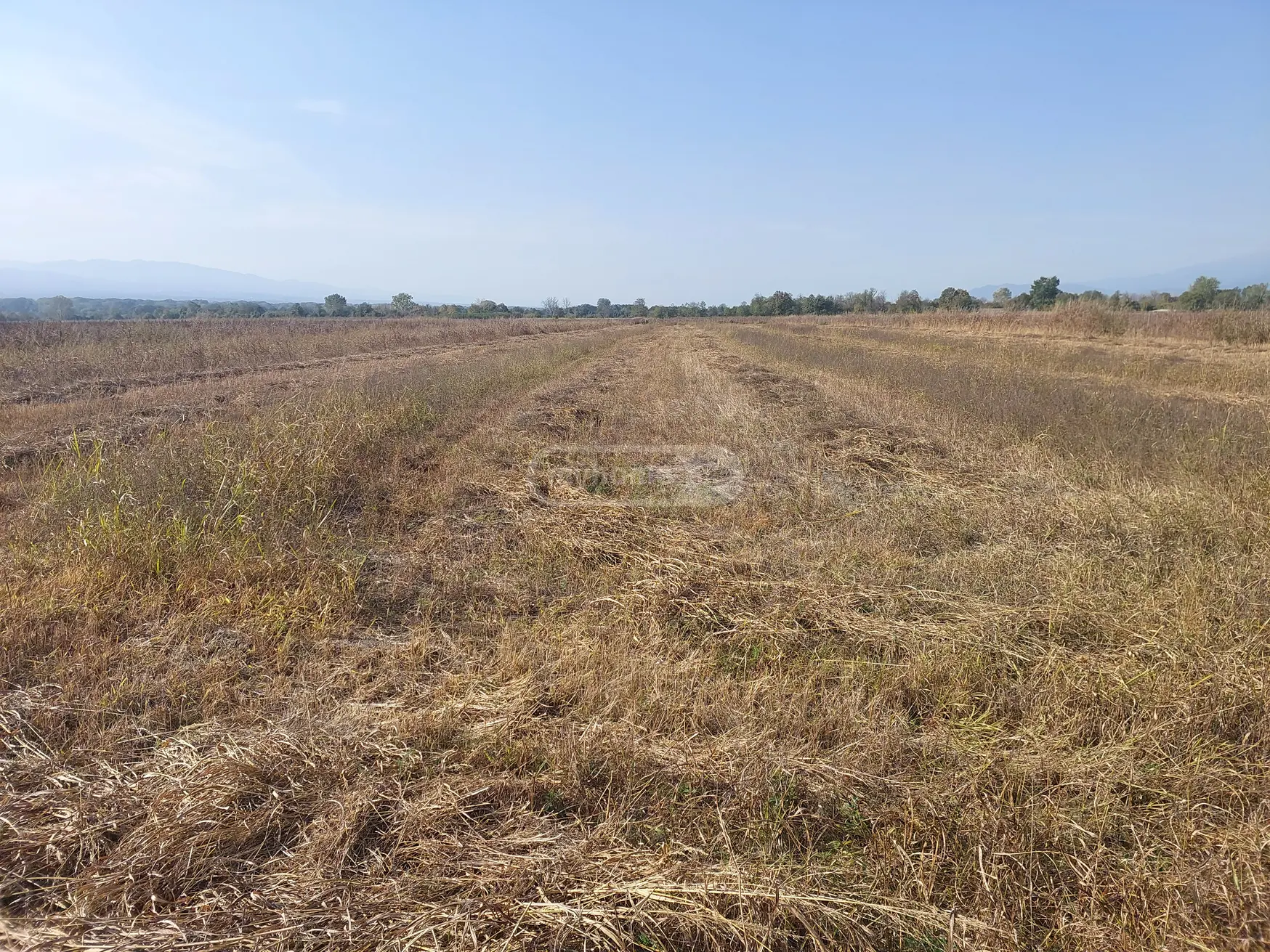 Продажа Agricultural Plot в In Kvareli view 1