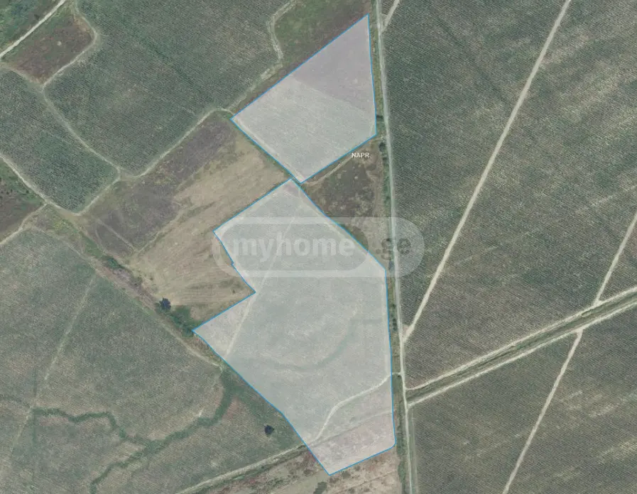 Agricultural Plot For Sale In Gurjaani (Village), In Gurjaani view 5