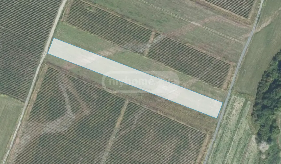 Продажа Agricultural Plot в In Kvareli view 3