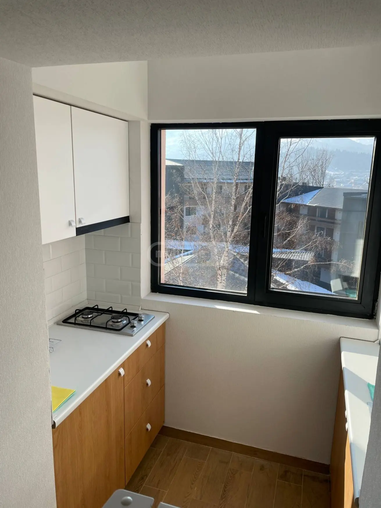 3 Room Hotel Daily Rent In Bakuriani view 10