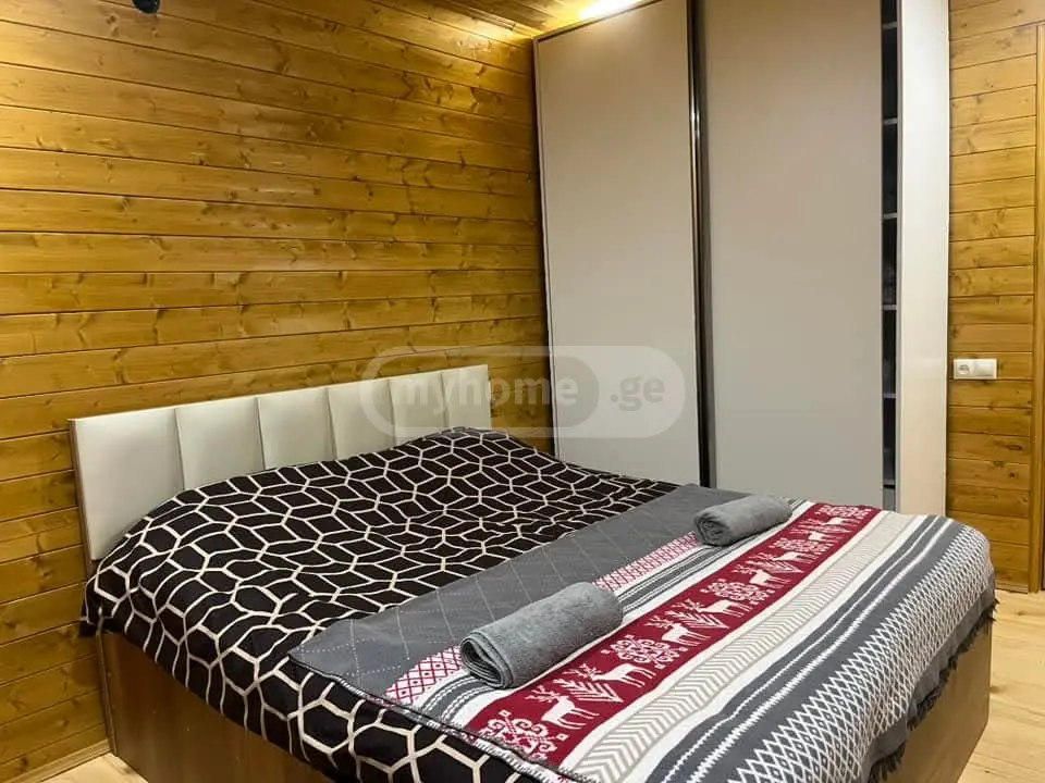 4 Room Country House Daily Rent In Bazaleti, In Dusheti Municipality view 7