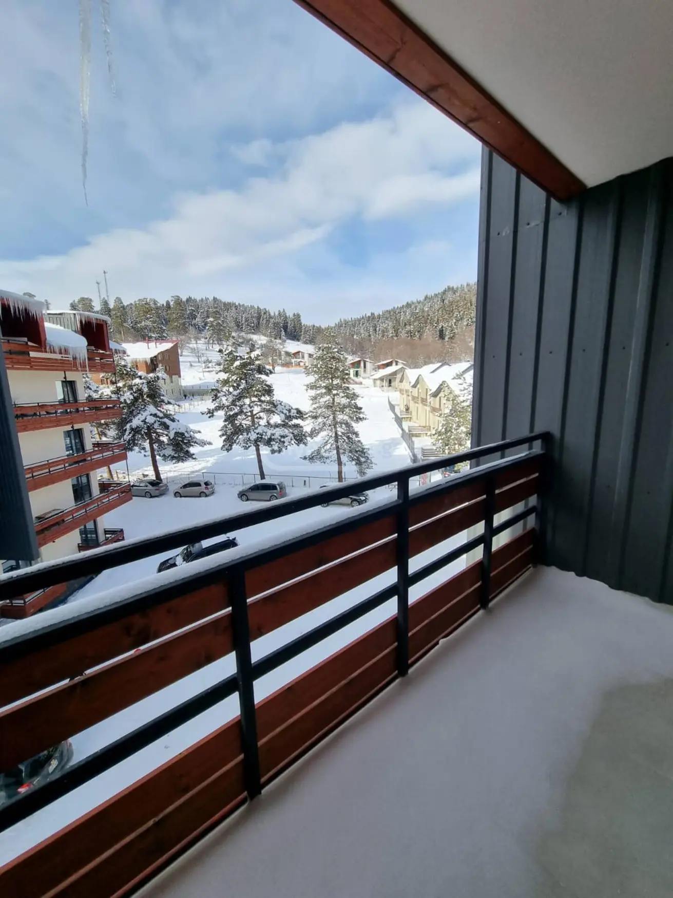 2 Room Hotel Daily Rent In Bakuriani view 11