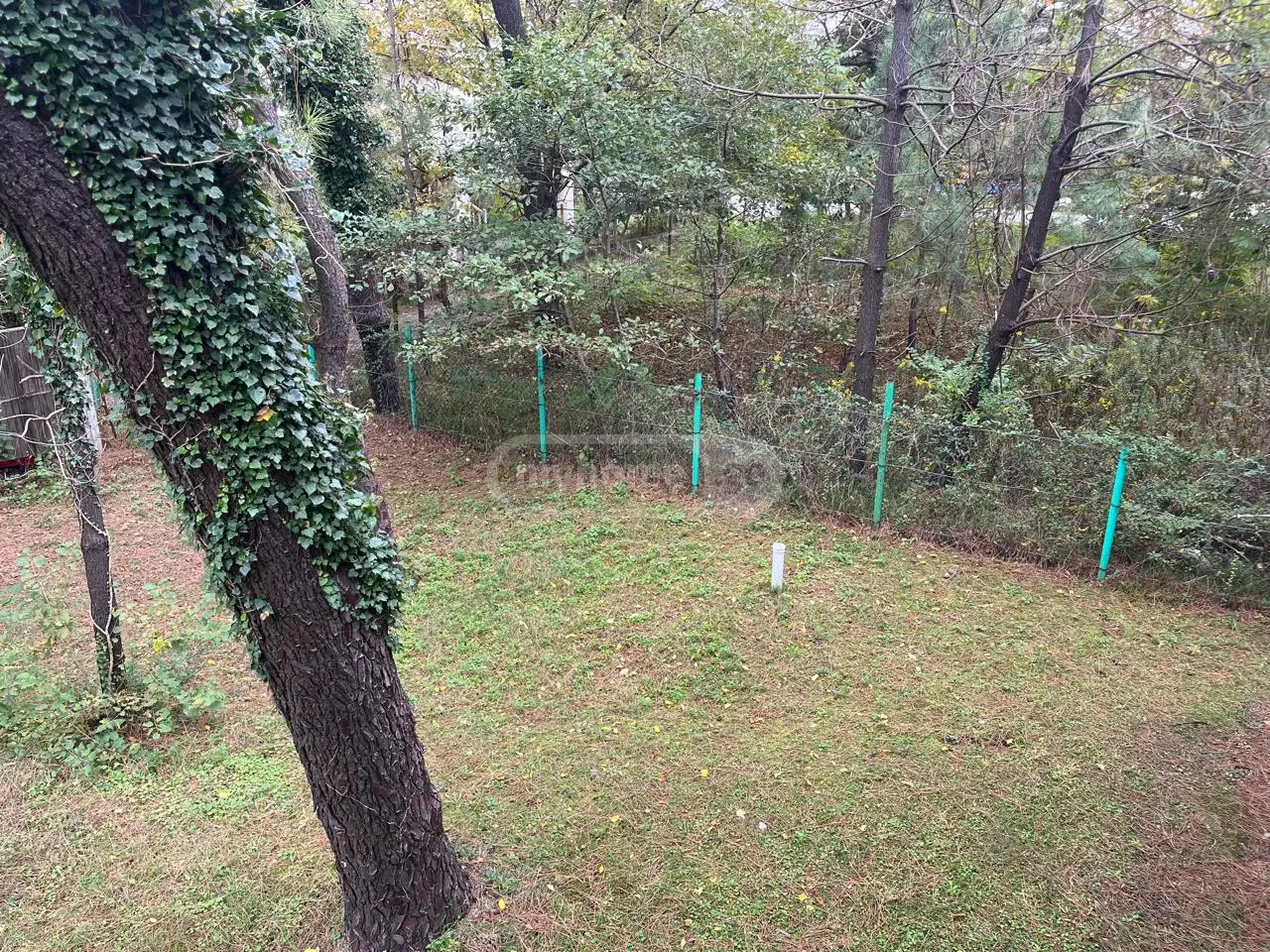 8 Room Country House For Sale view 7