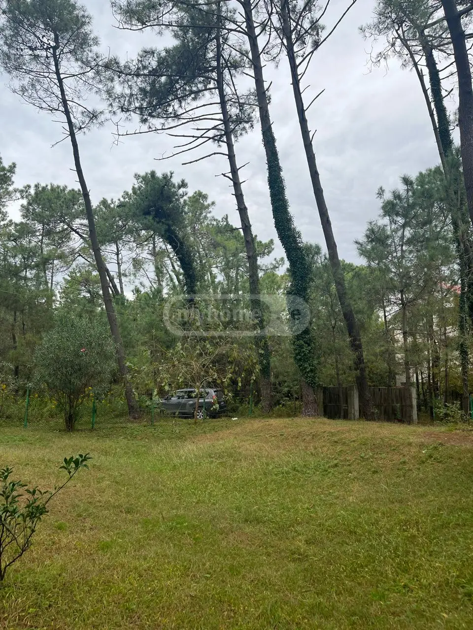 8 Room Country House For Sale view 5