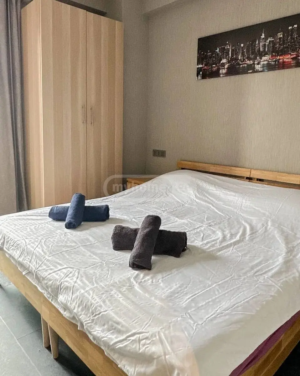 3 Room Apartment Daily Rent In Avlabari view 8