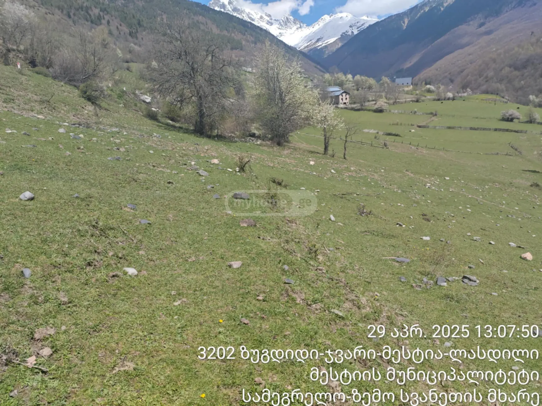 Agricultural Plot For Sale In Mestia view 4