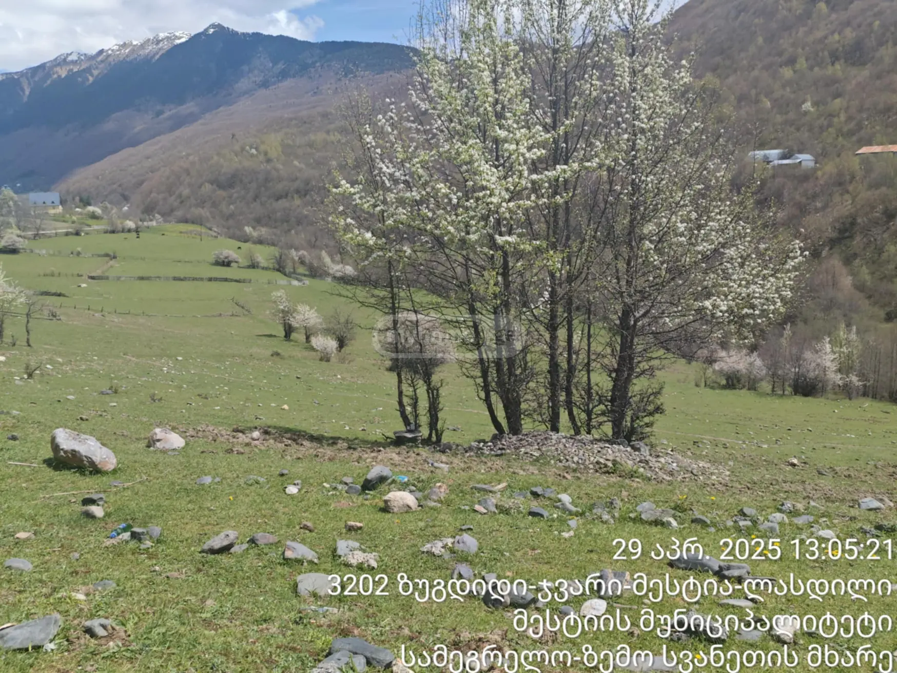 Agricultural Plot For Sale In Mestia view 5