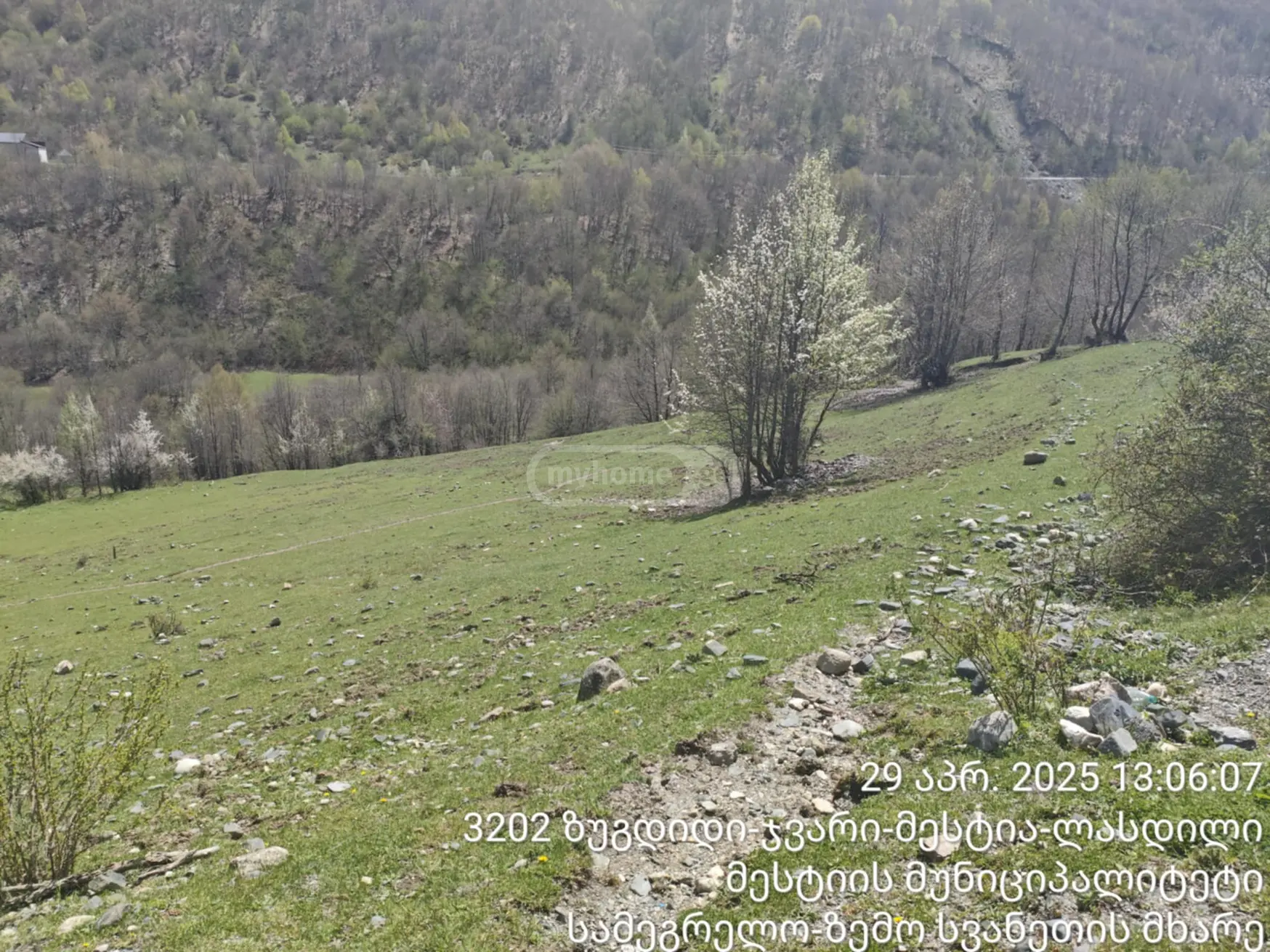 Agricultural Plot For Sale In Mestia view 3