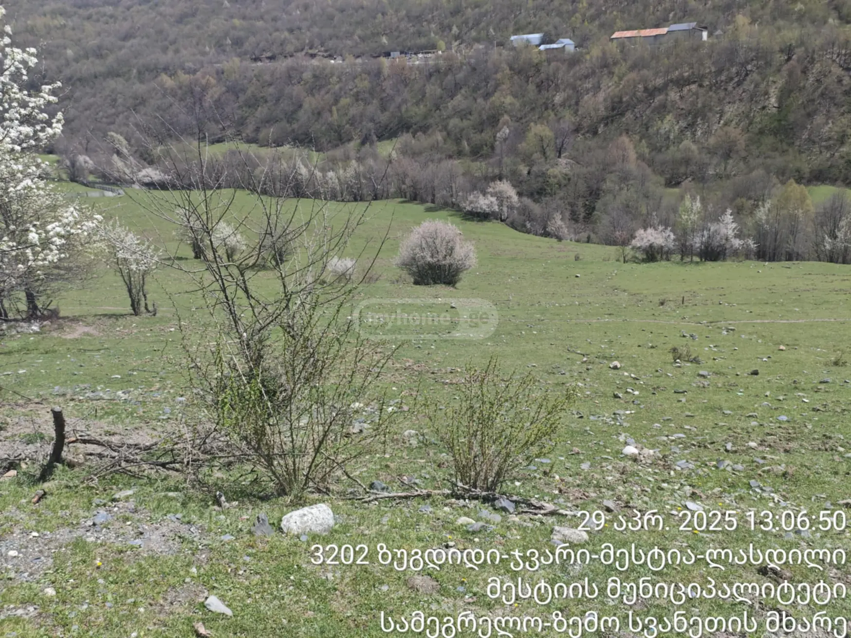 Agricultural Plot For Sale In Mestia view 1