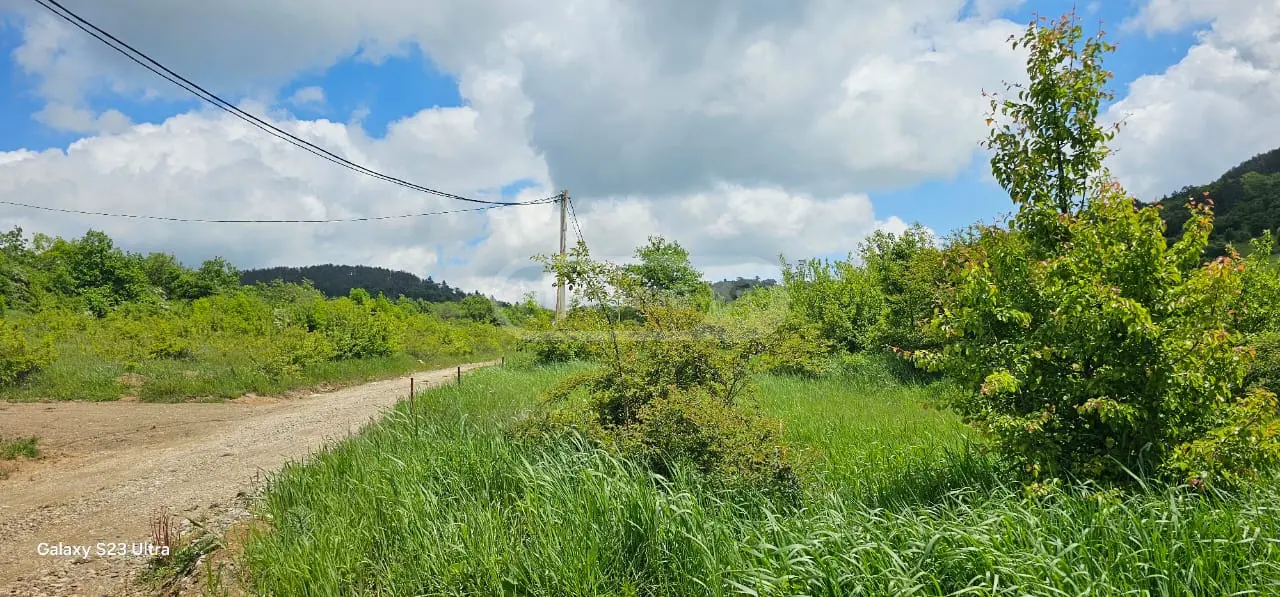 Agricultural Plot For Sale In Orbeti, In Tetritskaro Municipality view 3
