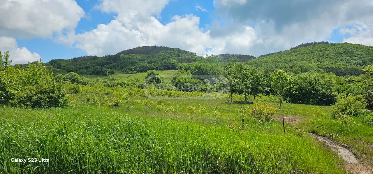 Agricultural Plot For Sale In Orbeti, In Tetritskaro Municipality view 2