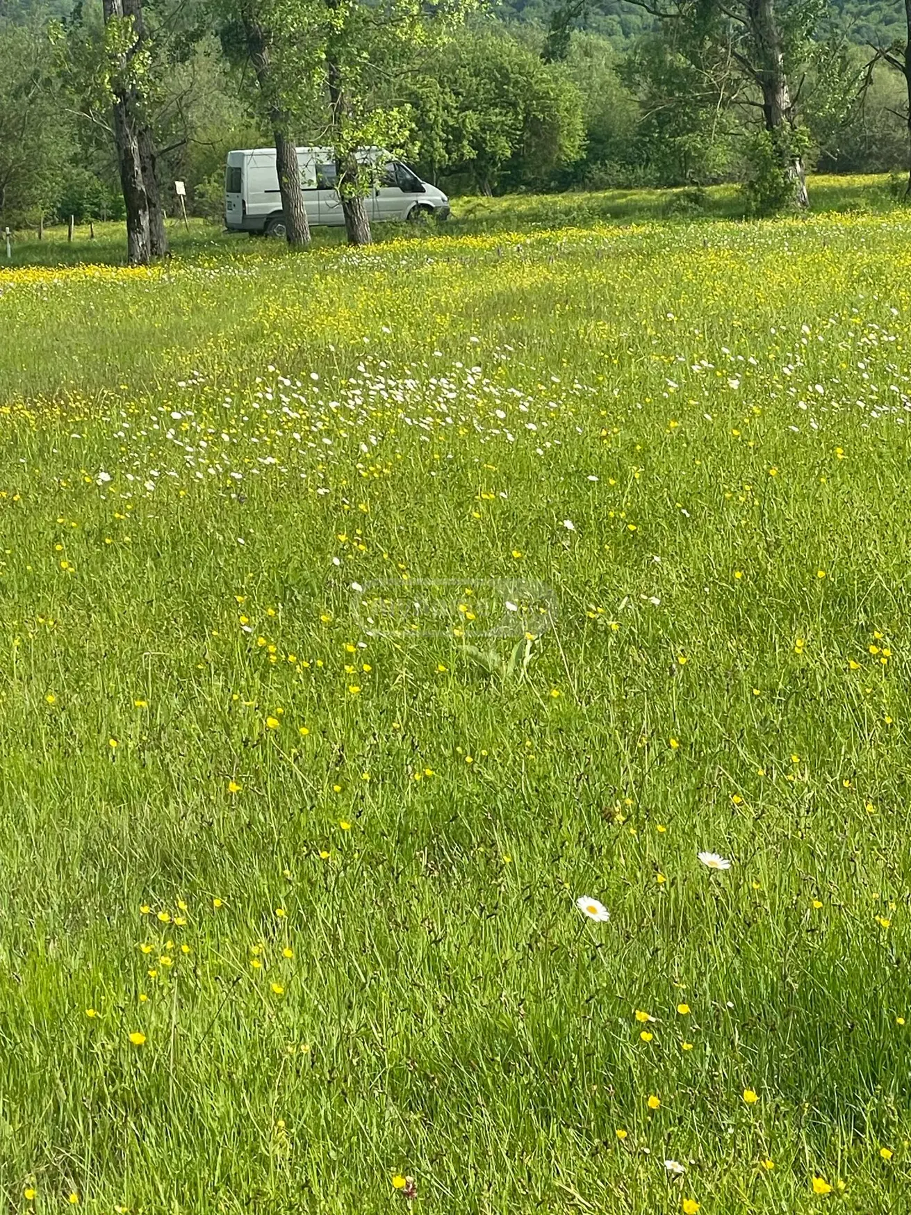 Agricultural Plot For Sale In Tianeti, In Tianeti Municipality view 7
