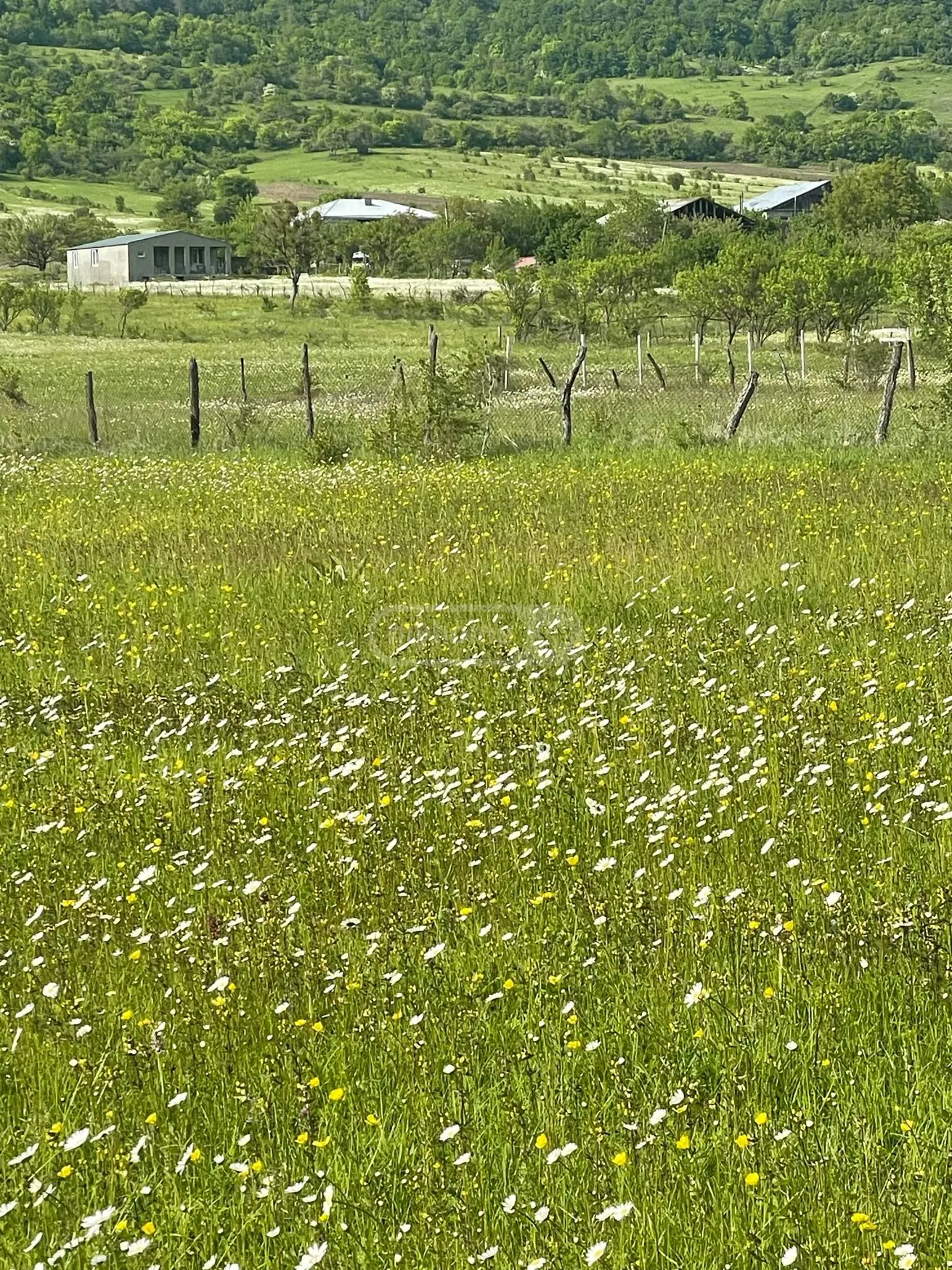 Agricultural Plot For Sale In Tianeti, In Tianeti Municipality view 1
