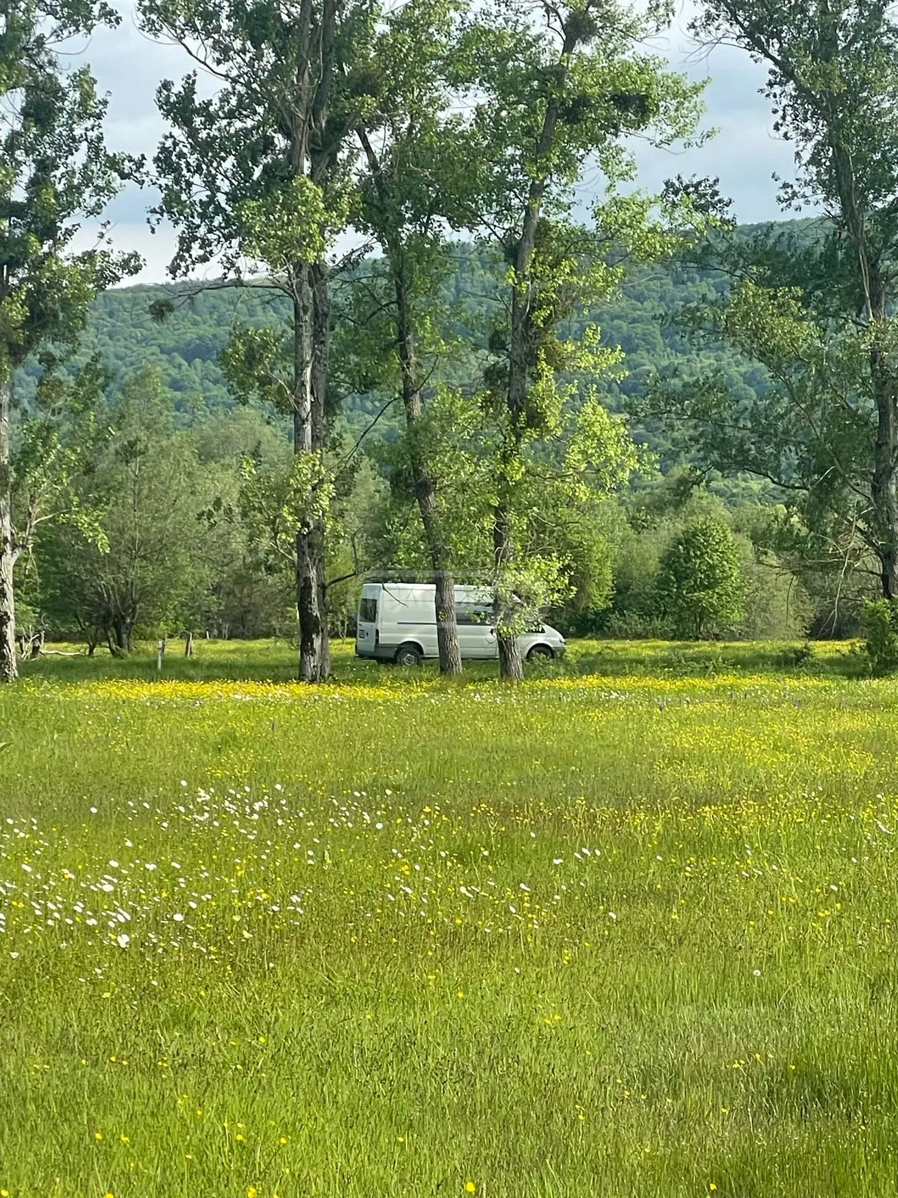 Agricultural Plot For Sale In Tianeti, In Tianeti Municipality view 8