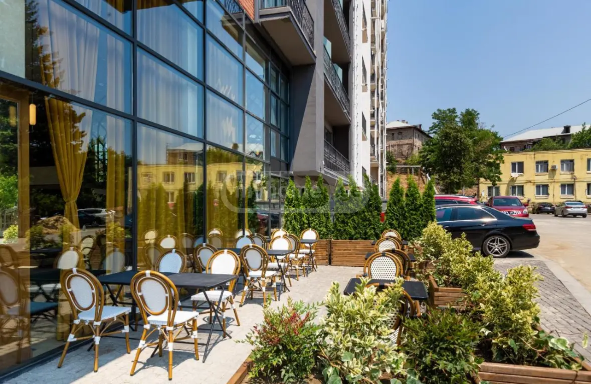 10+ Room Hotel For Rent In Krtsanisi view 8