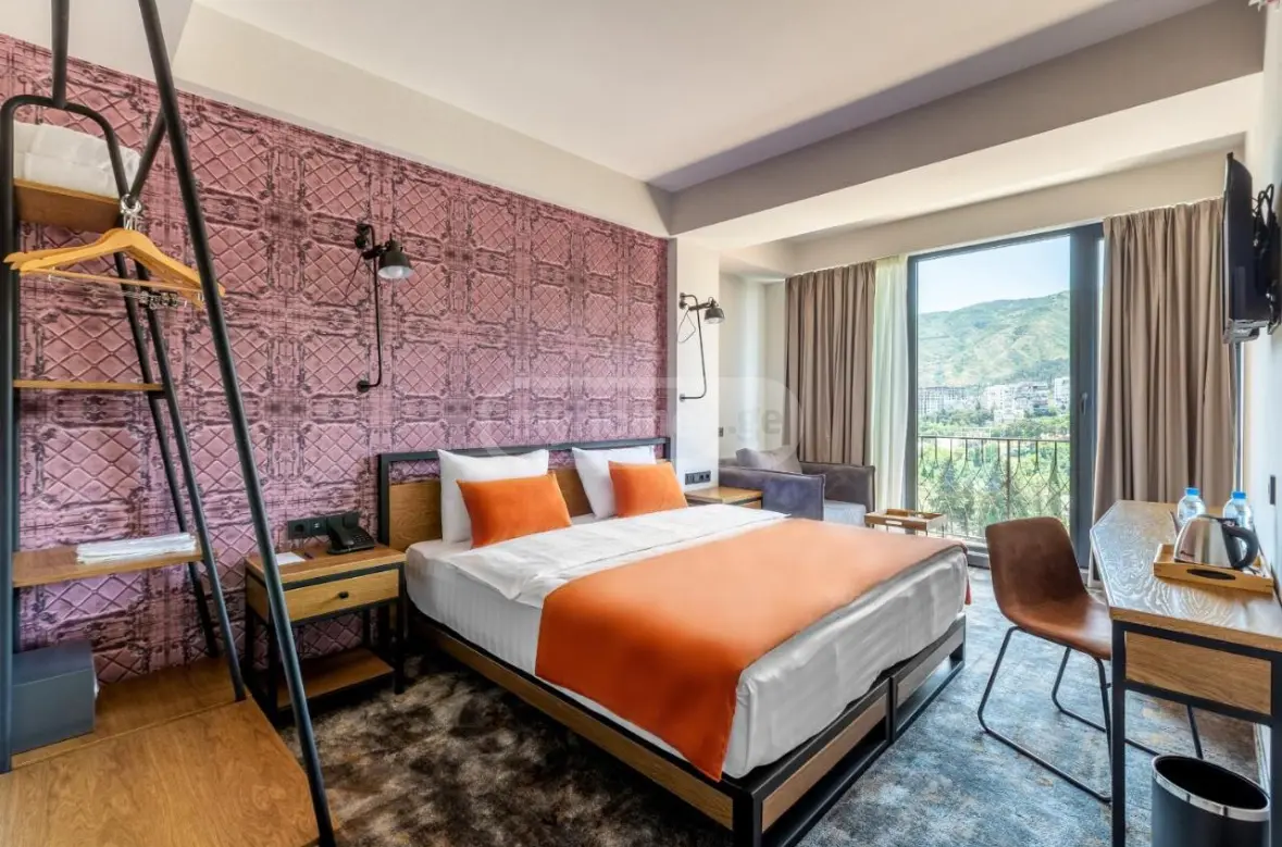 10+ Room Hotel For Rent In Krtsanisi view 12