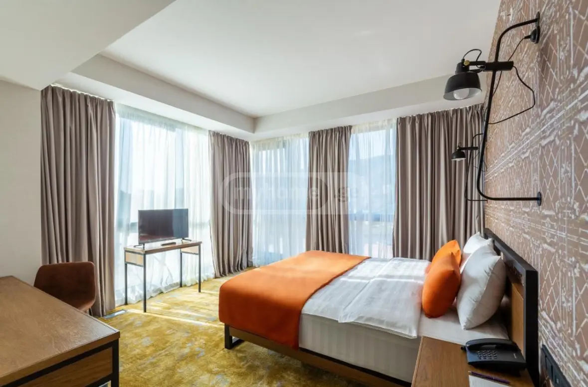 10+ Room Hotel For Rent In Krtsanisi view 6