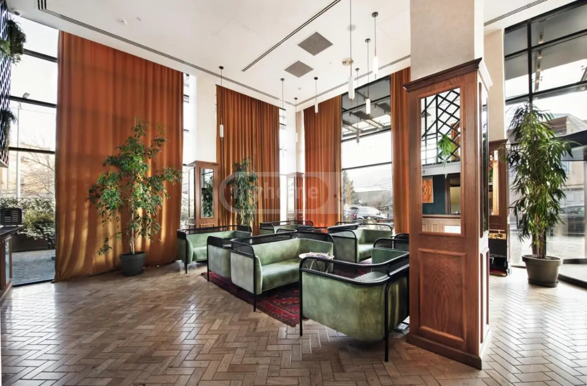 10+ Room Hotel For Rent In Krtsanisi view 9