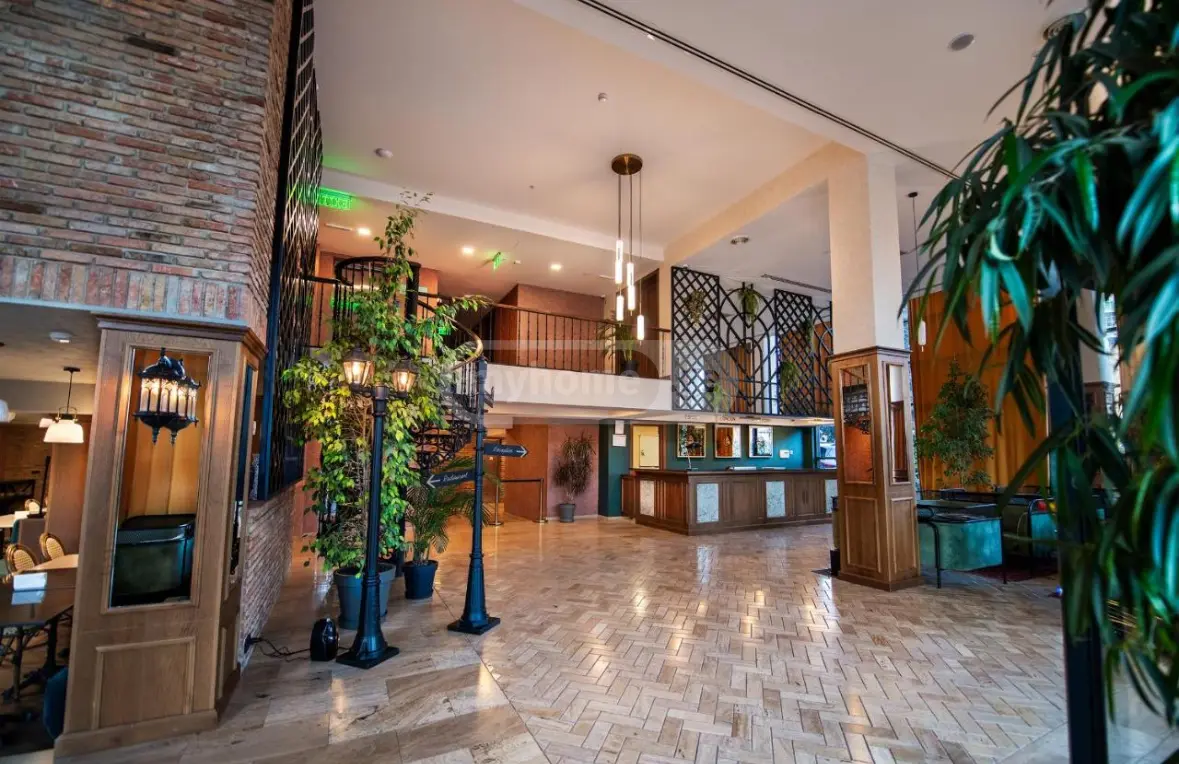 10+ Room Hotel For Rent In Krtsanisi view 11