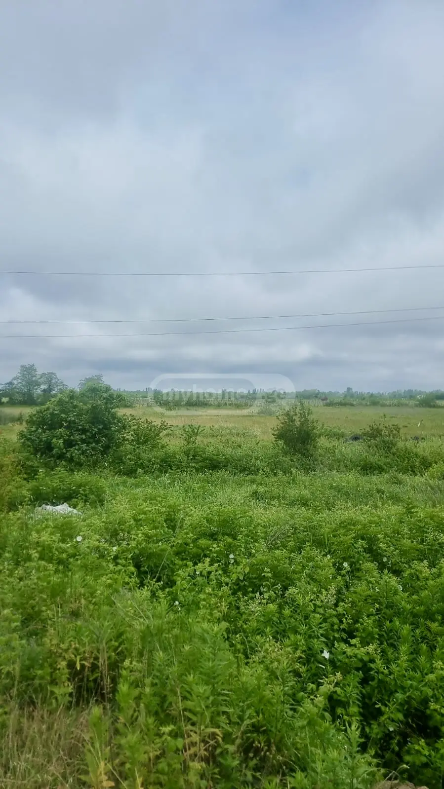 Agricultural Plot For Sale Nikea, In Qutaisi view 3