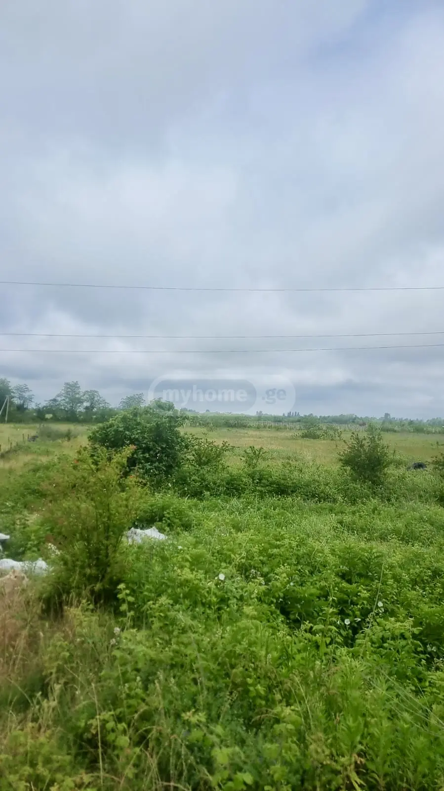 Agricultural Plot For Sale Nikea, In Qutaisi view 2