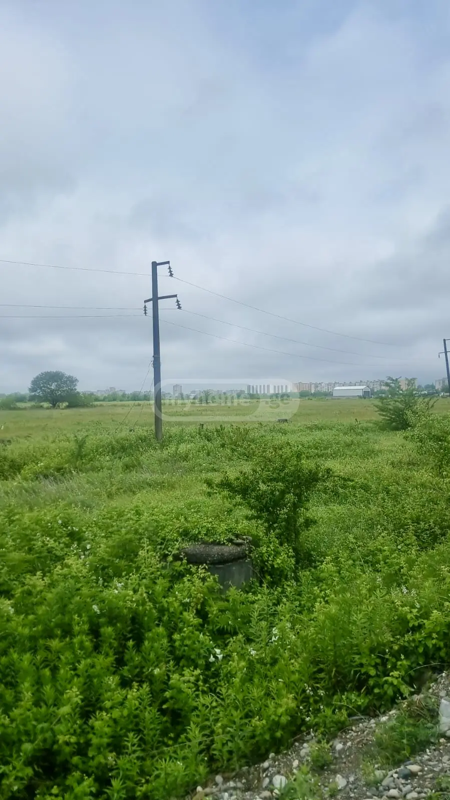 Agricultural Plot For Sale Nikea, In Qutaisi view 5