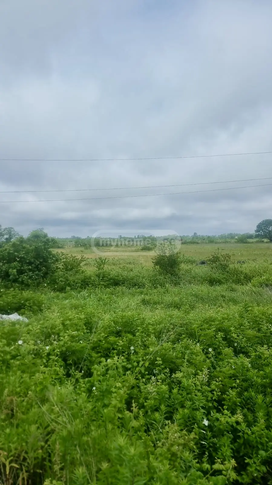 Agricultural Plot For Sale Nikea, In Qutaisi view 4