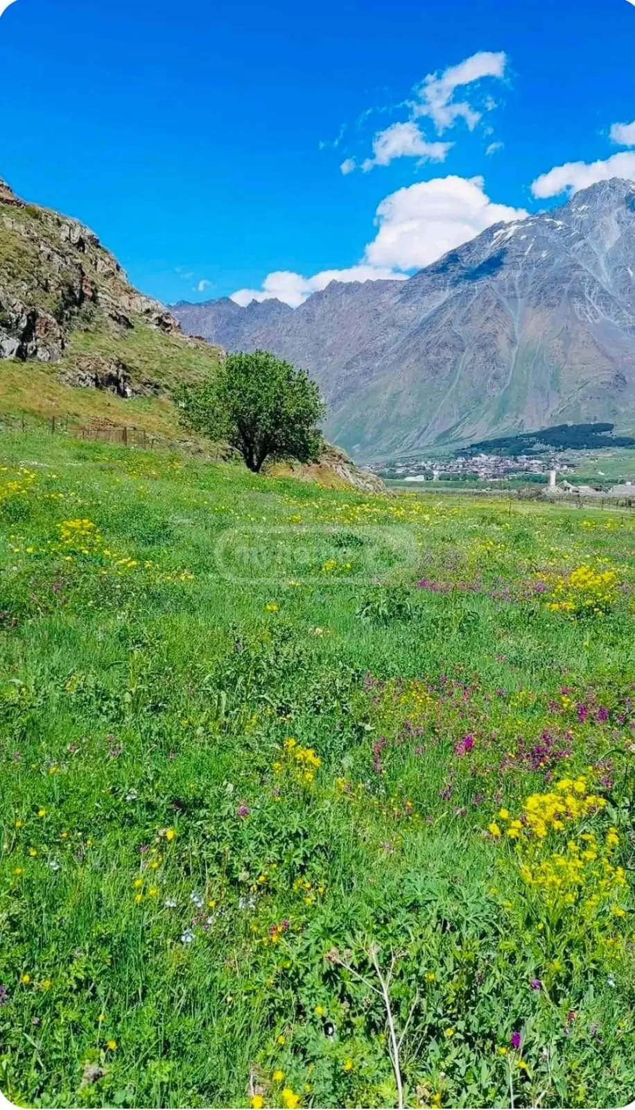 იყიდება Agricultural Plot In Kazbegiში view 1