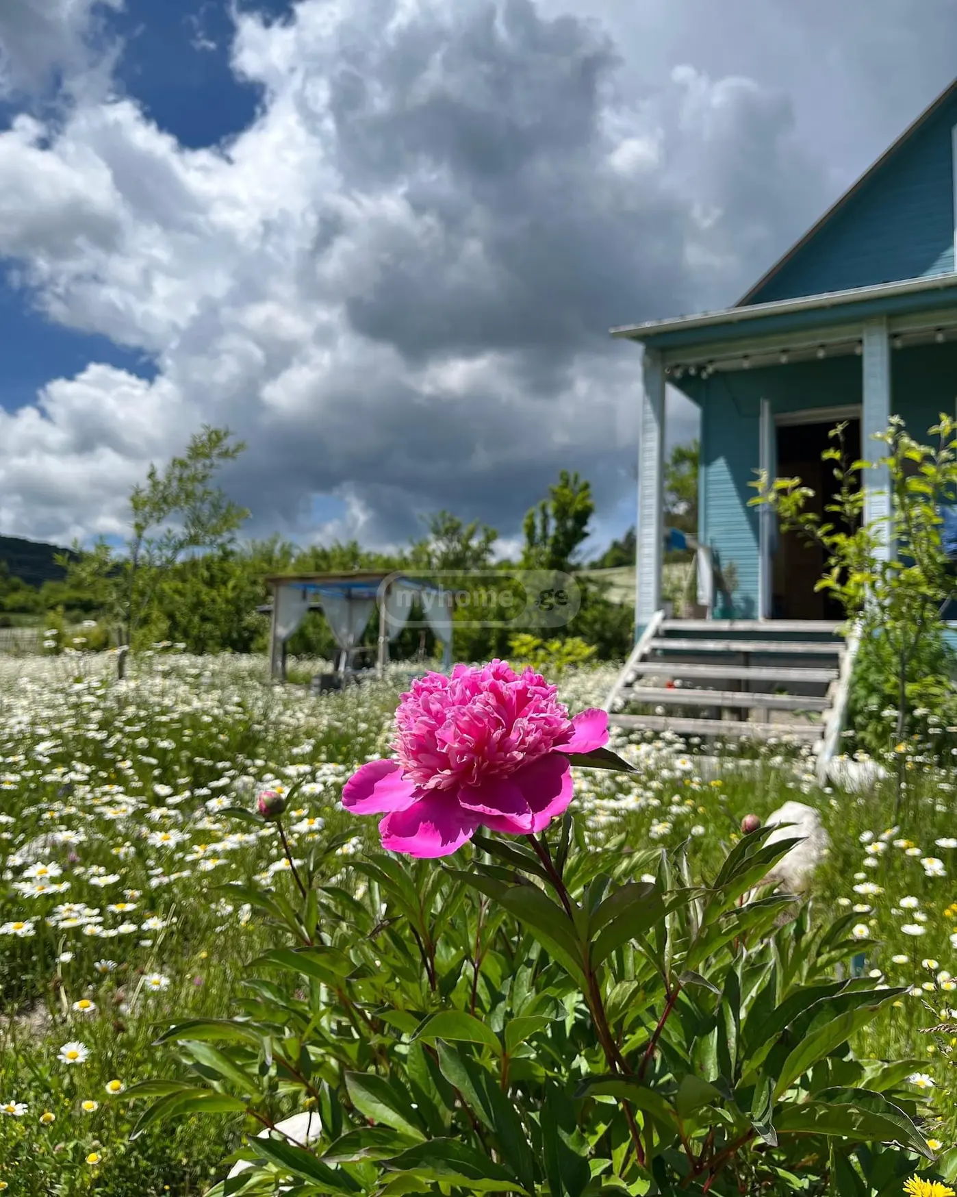 2 Room Country House Daily Rent In Tianeti, In Tianeti Municipality view 11