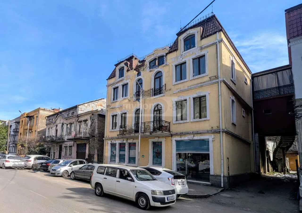 Special Commercial Area For Sale In Old Batumi District, In Batumi view 10