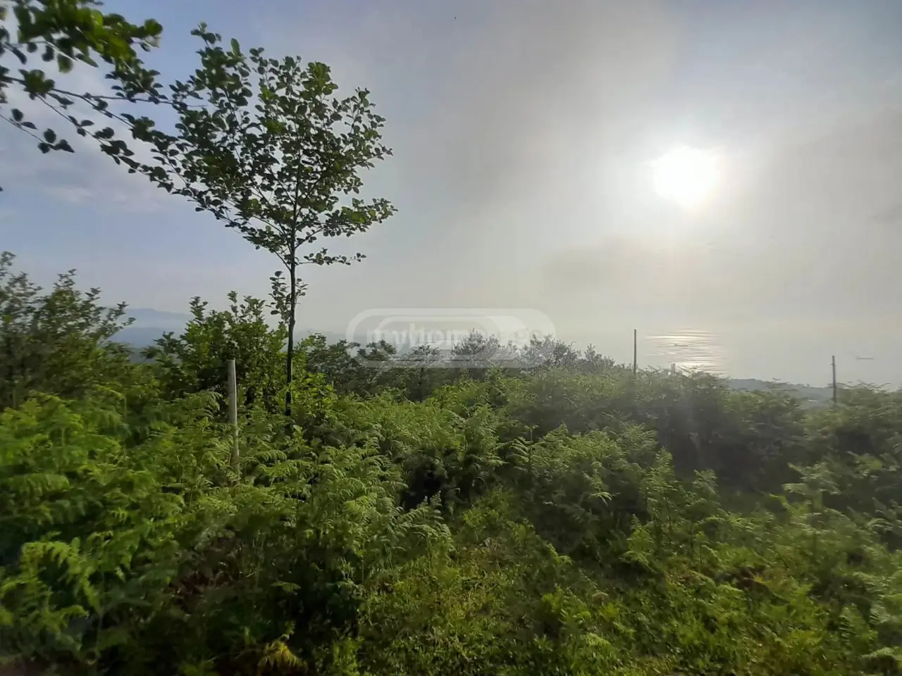 Agricultural Plot For Sale In Makhinjauri, In Batumi view 5