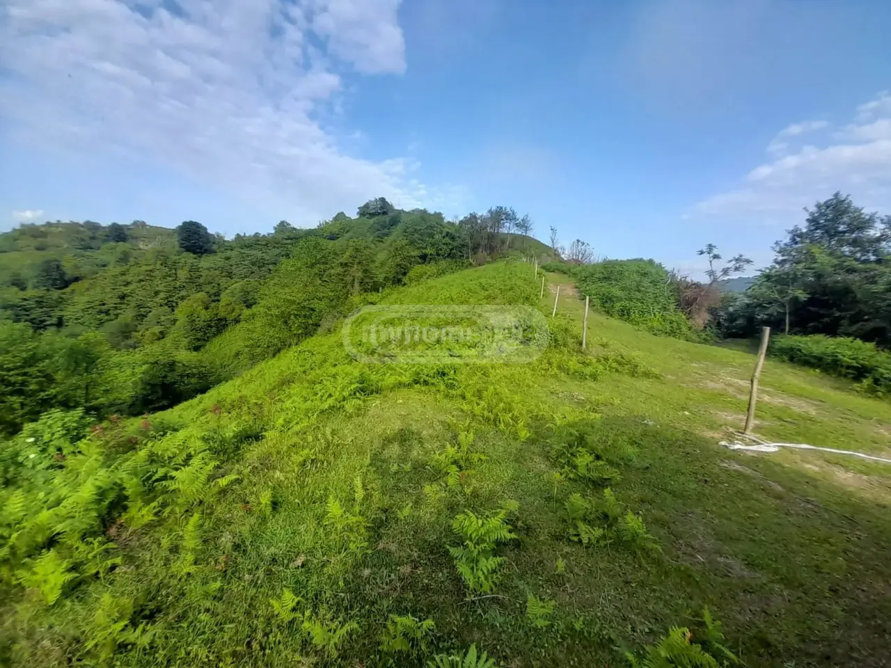 Agricultural Plot For Sale In Makhinjauri, In Batumi view 6