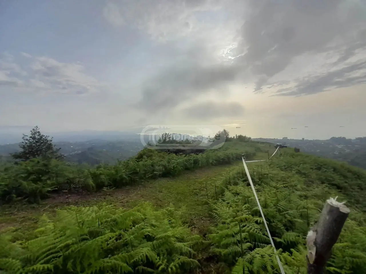 Agricultural Plot For Sale In Makhinjauri, In Batumi view 2